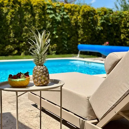 Aleksic Villa *