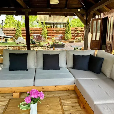 Aleksic スメデレヴォ