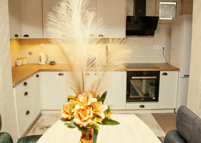 Villa Aleksic Semendire